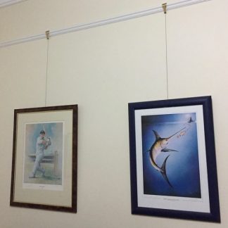 Picture Rail Hooks